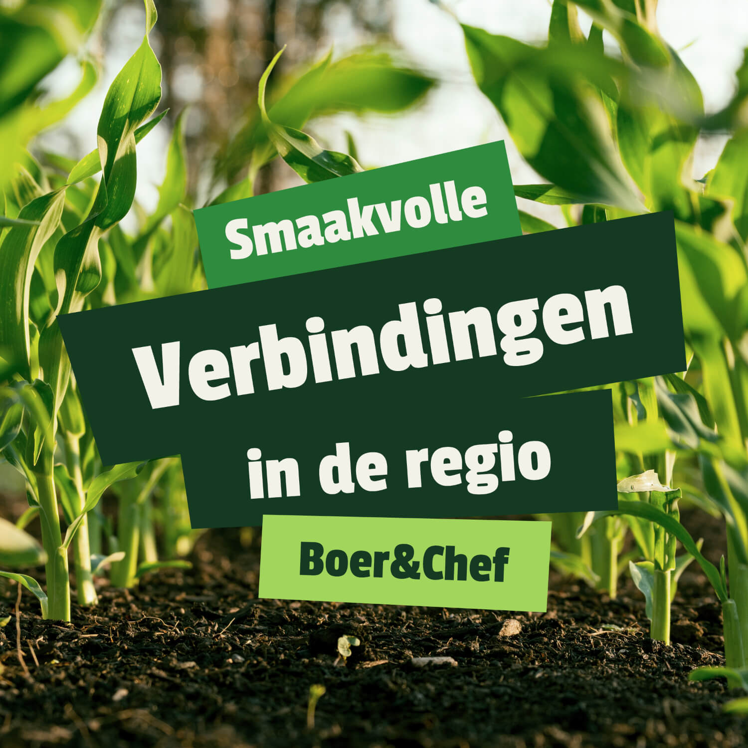 Boer & Chef
